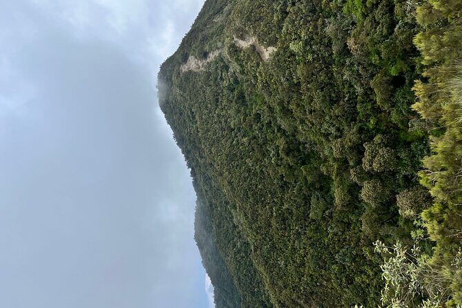Guided Mount Longonot Hiking Day Trip - The Sum Up