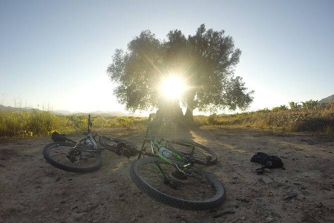 Guided mountain bike route - "Pata Negra" Tour - An Authentic Look at the "Pata Negra" Mountain Bike Experience