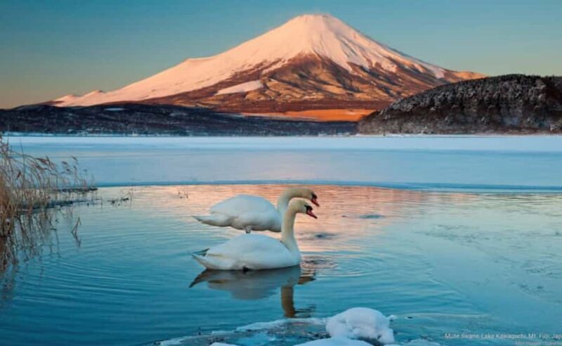 Guided Mt. Fuji Day Trip from Tokyo with English Guide - Riding the Mt. Kachi Kachi Ropeway