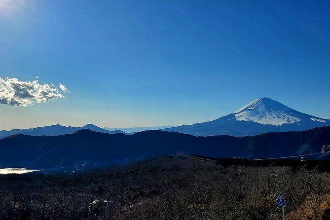 guided-mt-fuji-hakone-tour-bullet-train-return-green-number