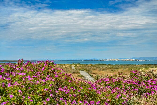 guided-nature-tour-hop-on-hop-off-3-islands