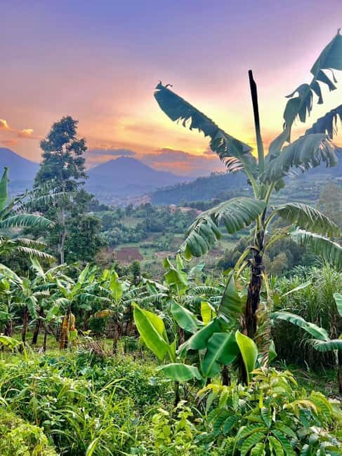 Guided Nature walk-Aerial view of Lake Mutanda Islands - Key Points