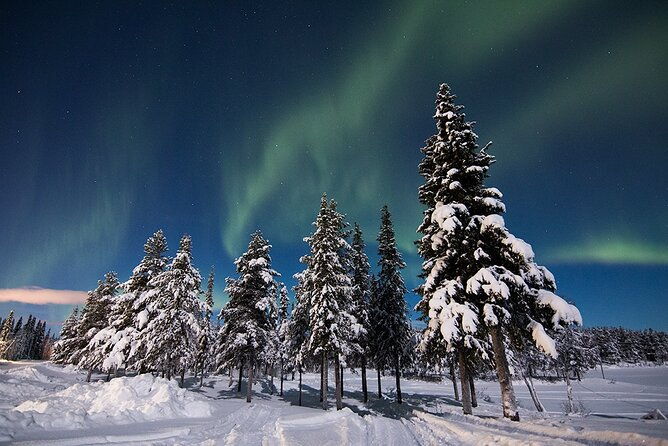 guided-northern-lights-tour-at-kiruna-2