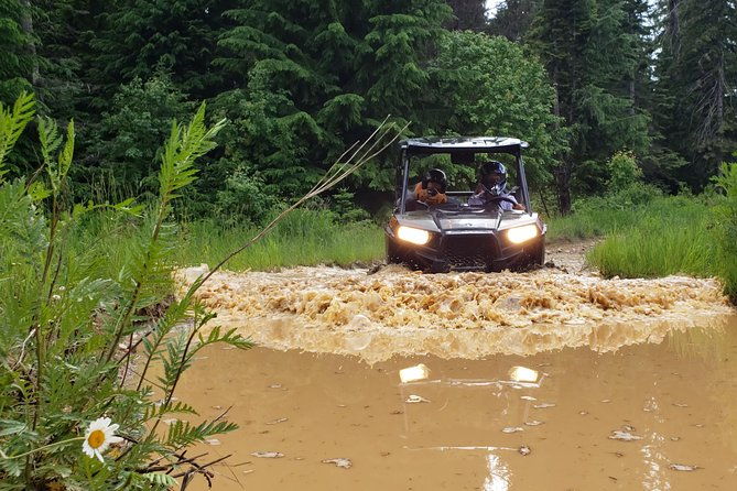 guided-off-road-vehicle-tours-in-north-idaho-forests
