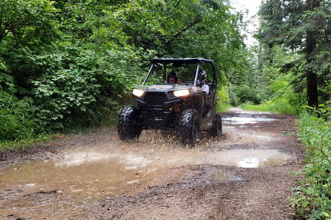 guided-off-road-vehicle-tours-in-north-idaho-forests