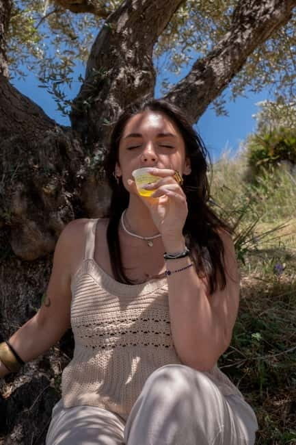 Guided oil tasting with tour of olive grove in Agrigento - Authentic Sicily: Guided Olive Oil Tasting & Olive Grove Tour near Agrigento