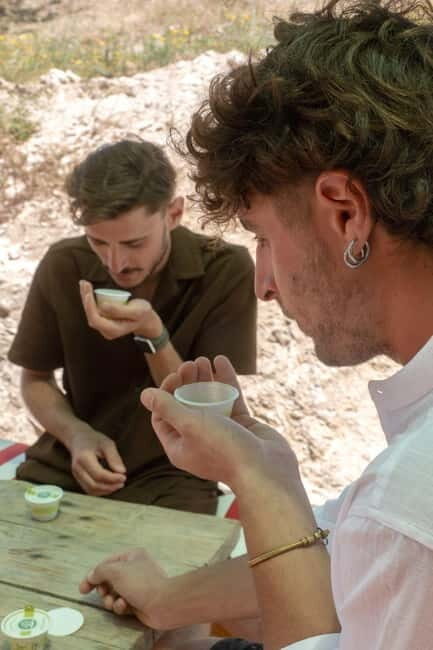 Guided oil tasting with tour of olive grove in Agrigento - Key Points
