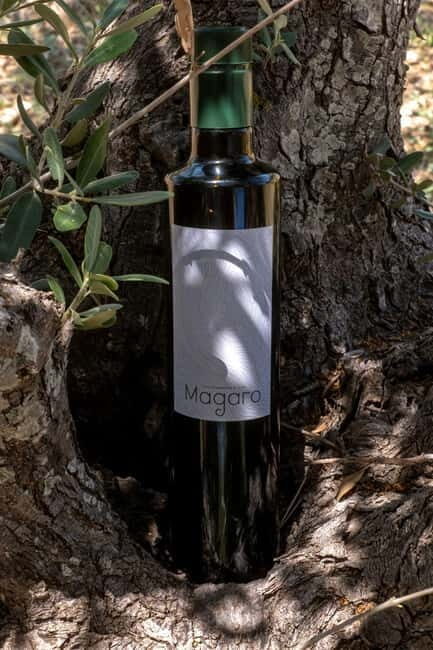 Guided oil tasting with tour of olive grove in Agrigento - Who Will Love This Tour?
