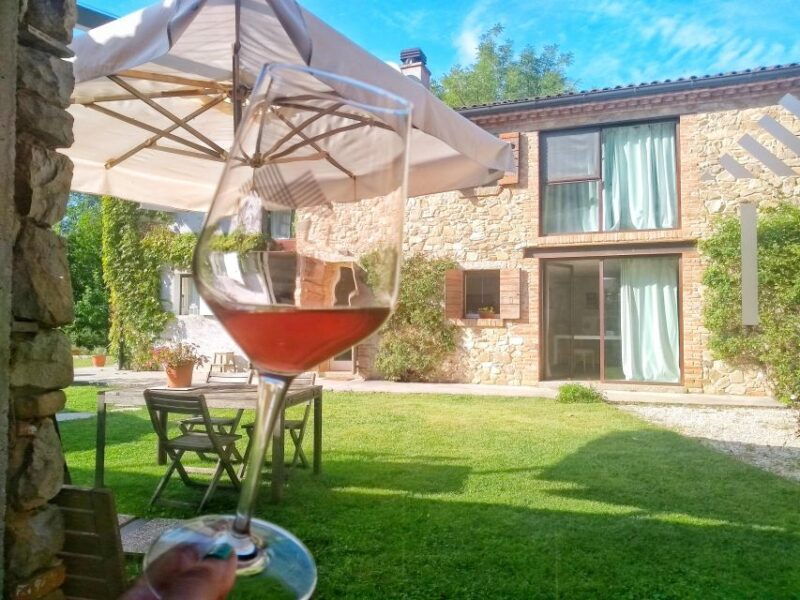 guided-olive-oil-wine-tour-from-padua