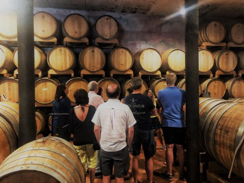 guided-olive-oil-wine-tour-from-padua