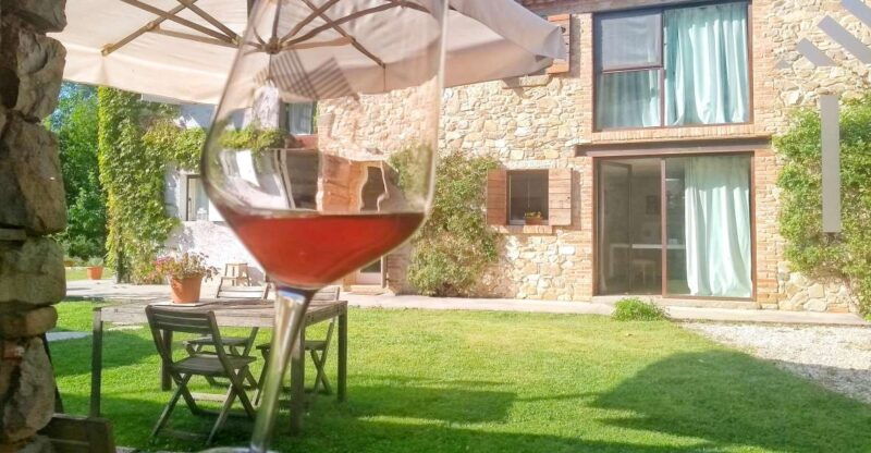 guided-olive-oil-wine-tour-from-padua