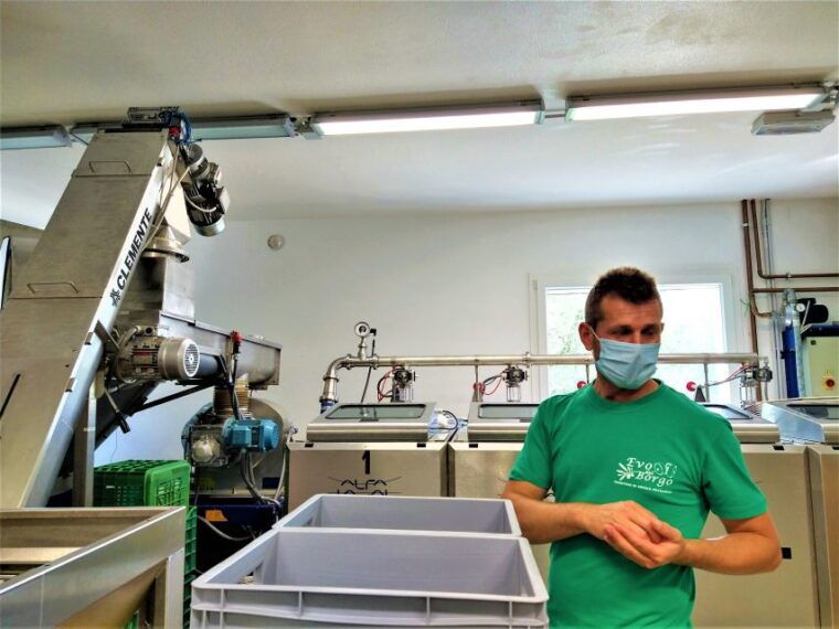 guided-olive-oil-wine-tour-from-padua