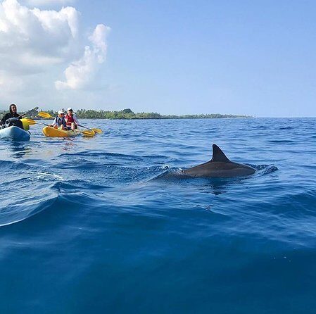 Guided Outrigger Canoe Tour in Kealakekua Bay - Who Will Love This Experience?