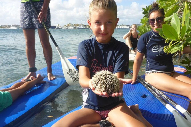 guided-paddleboarding-sup-mangrove-eco-tour-for-beginners