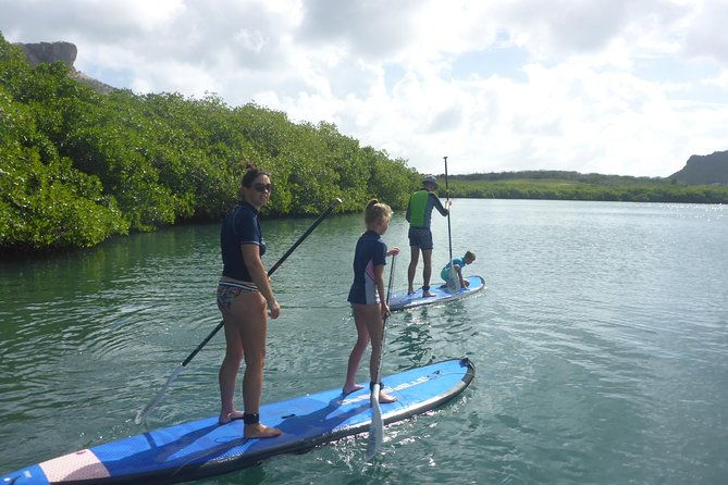 guided-paddleboarding-sup-mangrove-eco-tour-for-beginners