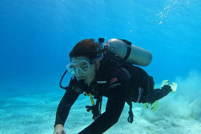 guided-padi-discover-scuba-diving-for-non-certified-divers