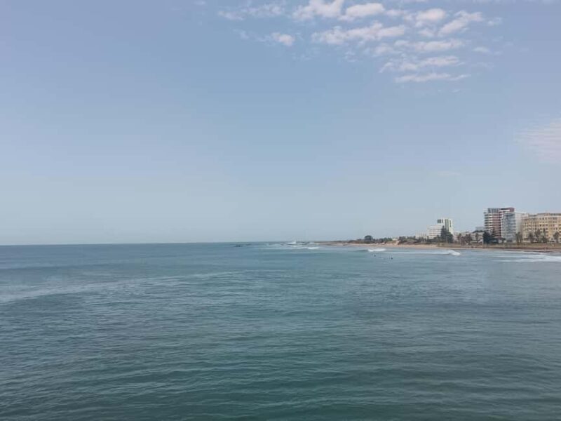 Guided Port Elizabeth Coastal Tour - Key Points