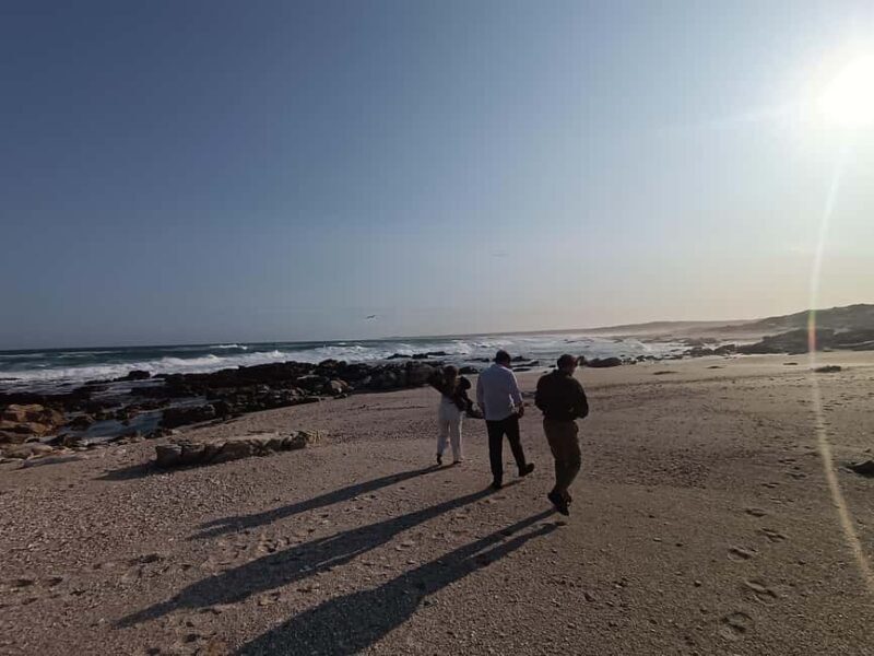 Guided Port Elizabeth Coastal Tour - Final Thoughts: Who Will Enjoy This Tour?