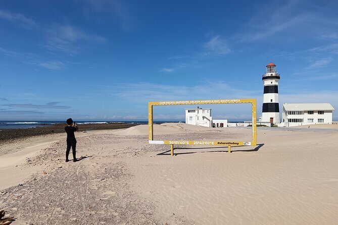 Guided Port Elizabeth Coastal Tour - Key Points
