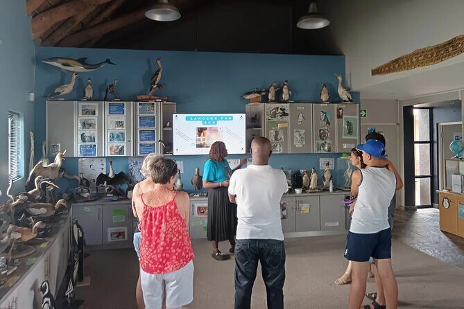 Guided Port Elizabeth Coastal Tour - The Sum Up: Is This Tour Worth It?