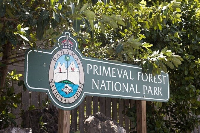 guided-primeval-nature-walk-tour-in-primeval-forest-national-park