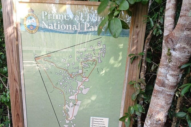 guided-primeval-nature-walk-tour-in-primeval-forest-national-park