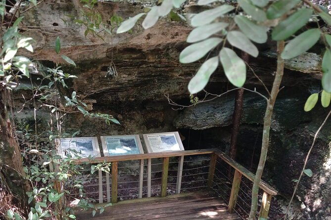 guided-primeval-nature-walk-tour-in-primeval-forest-national-park
