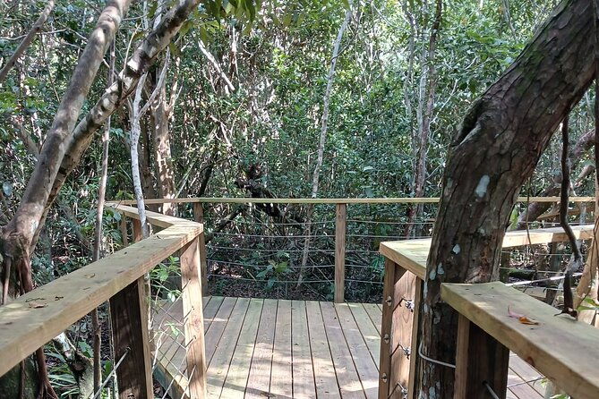 guided-primeval-nature-walk-tour-in-primeval-forest-national-park