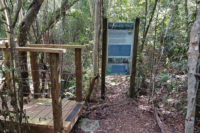 guided-primeval-nature-walk-tour-in-primeval-forest-national-park