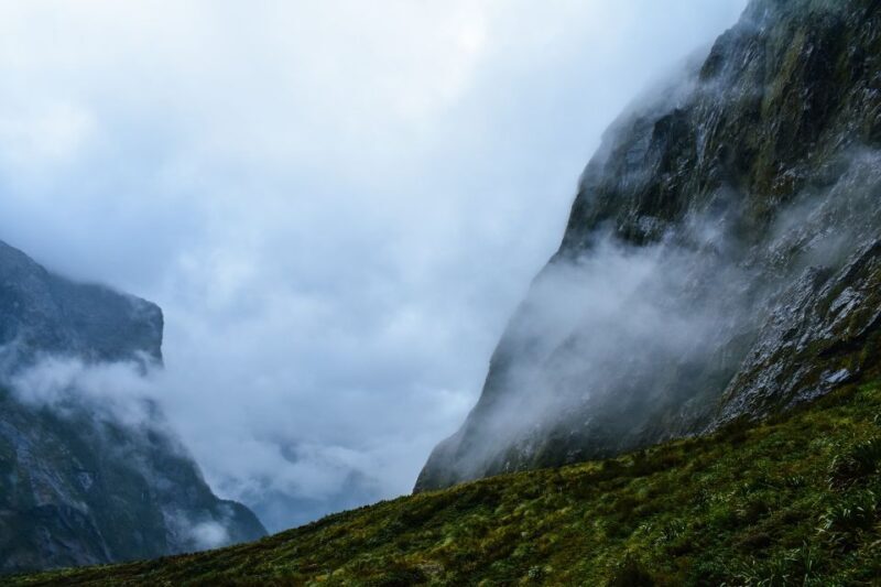 Guided Private Milford Sound Day Tour from Te Anau(Cruise In - Key Points  