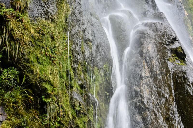 Guided Private Milford Sound Day Tour from Te Anau(Cruise In - FAQ