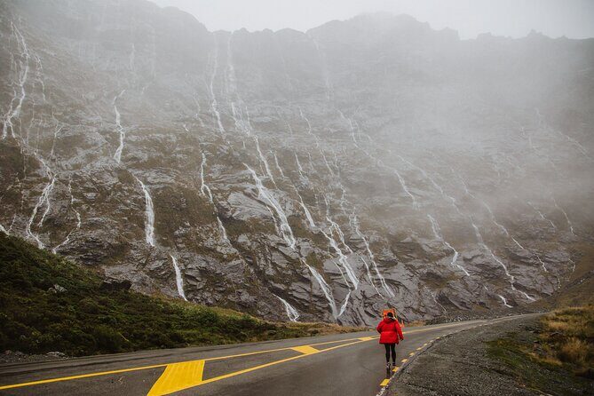 Guided Private Milford Sound Day Tour from Te Anau(Cruise Included) - Who Should Consider This Tour?  