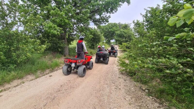 guided-quad-tour-with-aperitif-in-the-wood