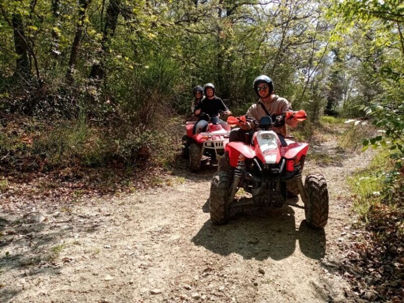 guided-quad-tour-with-aperitif-in-the-wood
