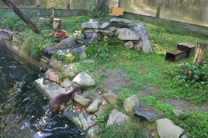 Guided Ranua Wildlife Park tour with Lunch, Small group adventure - Who Should Consider This Tour?