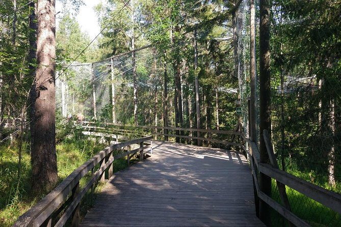 Guided Ranua Wildlife Park tour with Lunch, Small group adventure - The Sum Up