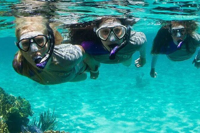 guided-reef-snorkeling-tour-in-pompano-beach