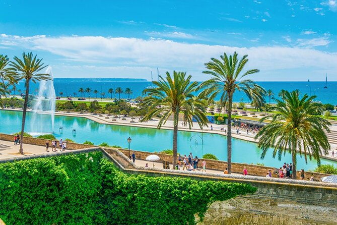 guided-route-through-palma-with-cathedral-and-visit-to-valldemossa-4h