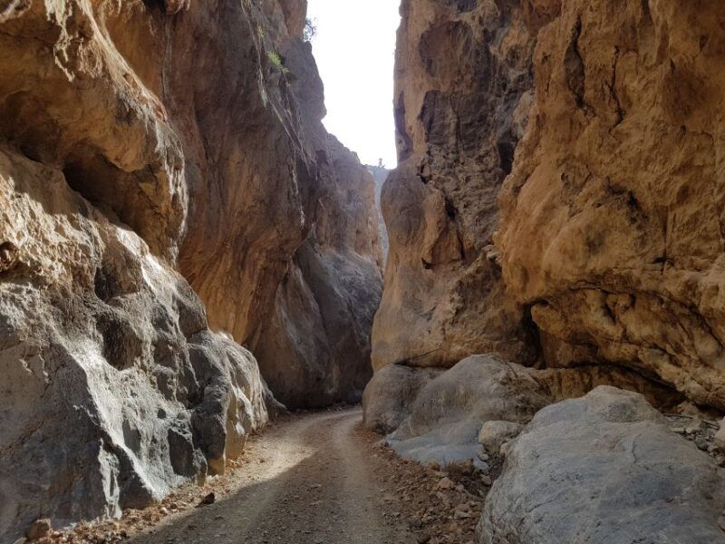 guided-safari-south-crete-tripitis-gorge