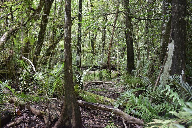 guided-safari-style-jeep-tour