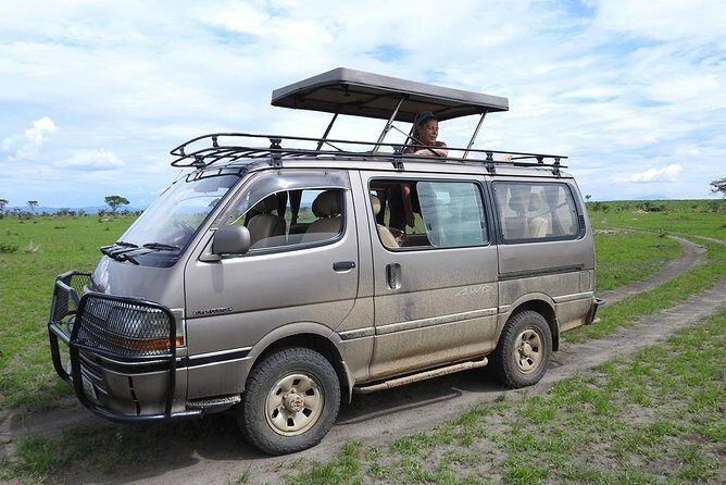 Guided Safari to Murchison Falls from Masindi - In-Depth Look at the Itinerary