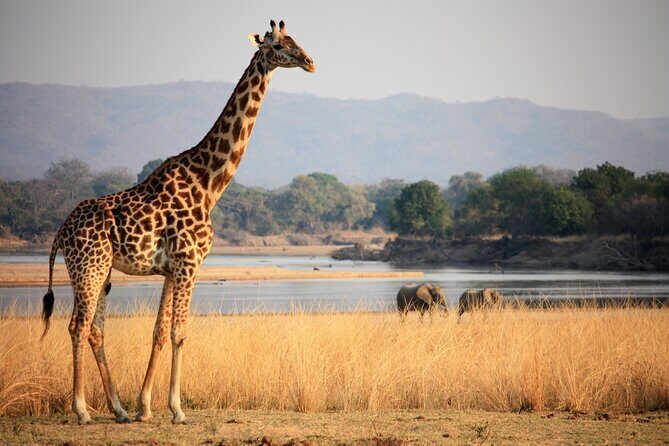 Guided Safari tour, lodging & meals, S. Luangwa National Park by Landcruiser 4x4 - Accommodations and meals