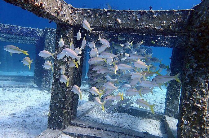 Guided Scuba Diving Day Activity at Racha Yai and Racha Noi - The Sum Up