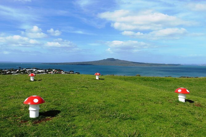 Guided Segway Tour to the summit of Mt Victoria in Devonport Auckland - An In-Depth Look at the Tour Experience