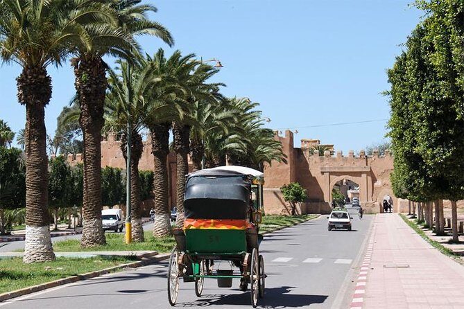 Guided Shared Day Trip Agadir to Marrakech medina & souks - What to Expect from the Marrakech Day Trip from Agadir