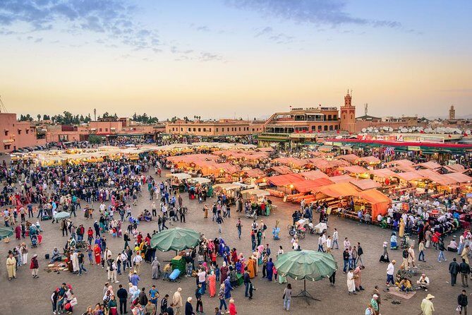 Guided Shared Day Trip Agadir to Marrakech medina & souks - The Realities of the Experience
