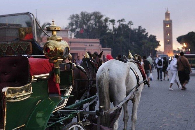 Guided Shared Day Trip Agadir to Marrakech medina & souks - FAQ
