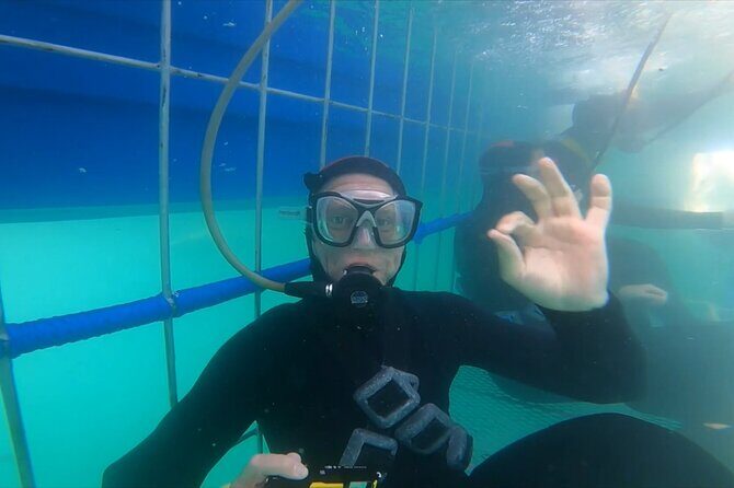 Guided Shark Cage Diving with Hookah Air Supply in Gansbaai - What to Expect from the Shark Cage Tour in Gansbaai
