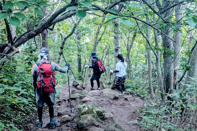 Guided Shioya Maruyama Hike with Scenic Views and Snacks - Practical Tips for Your Hike