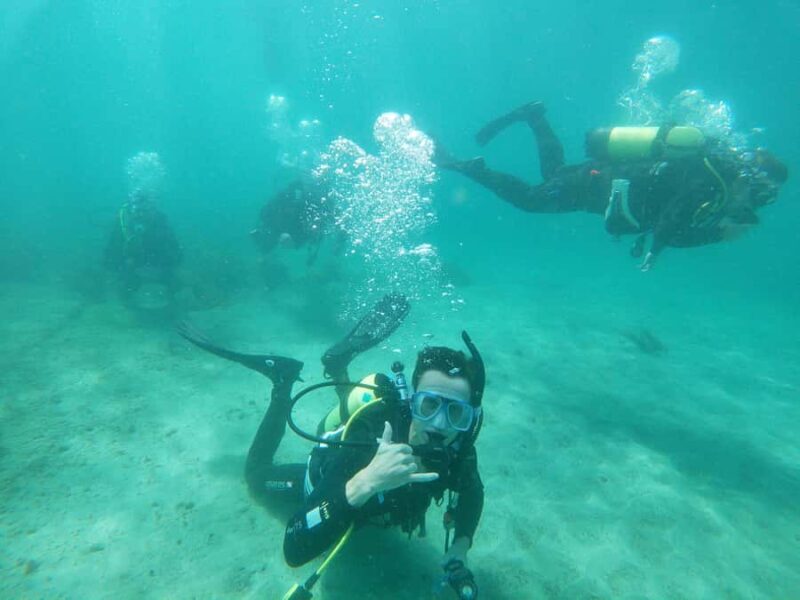 Guided Shore Dive Tour for Certified Divers - The Value of Guided Shore Diving